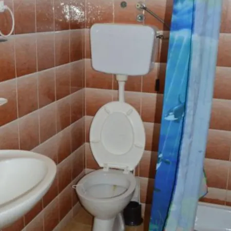 Miki Rogoznica * Podglavica